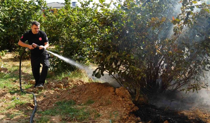 İtfaiyesi 3 ayda 300 anız yangınına müdahale etti