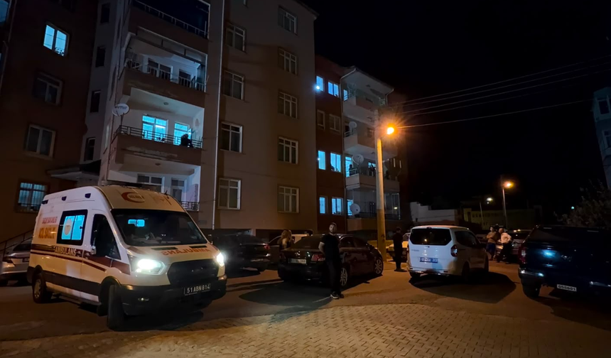 Şehidin var Niğde!