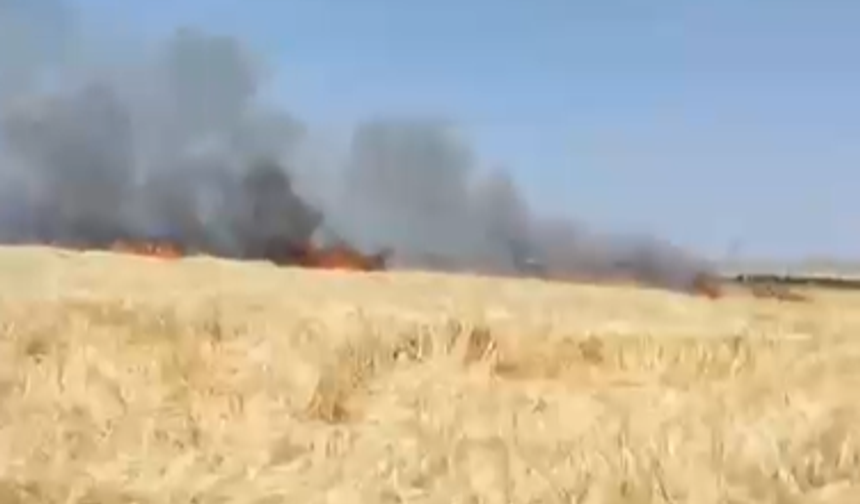 Edikli’de ekili alanda yangın çıktı