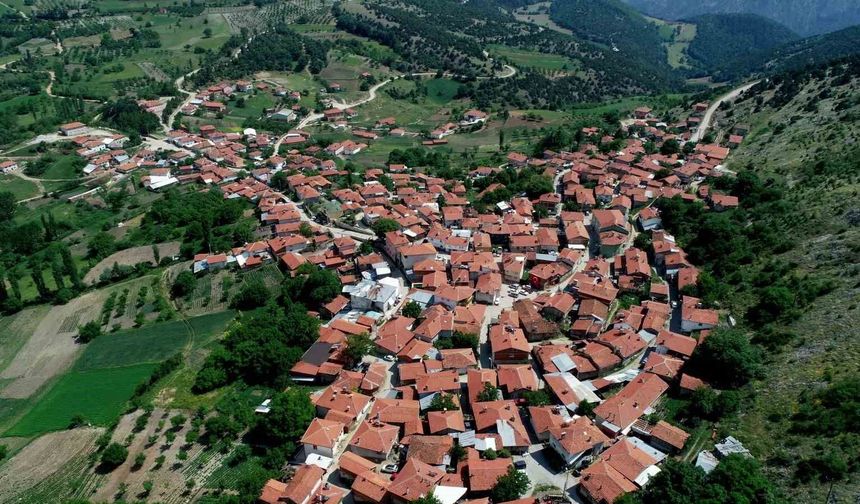 Köylülerin ürettiği peynir coğrafi işaret tescili aldı