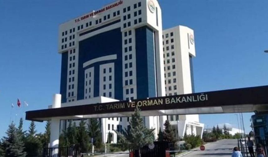Bakanlık Duyurdu: Bin 874 personel alınacak