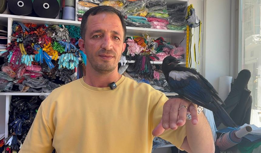 Niğde'de karganın yuvası bu dükkan oldu
