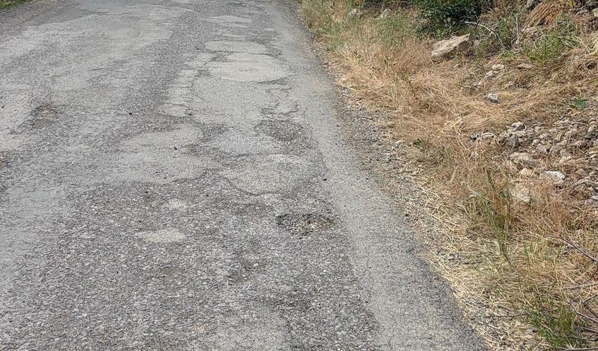 Kılavuz köyü yolu vatandaşların tepkisini çekiyor