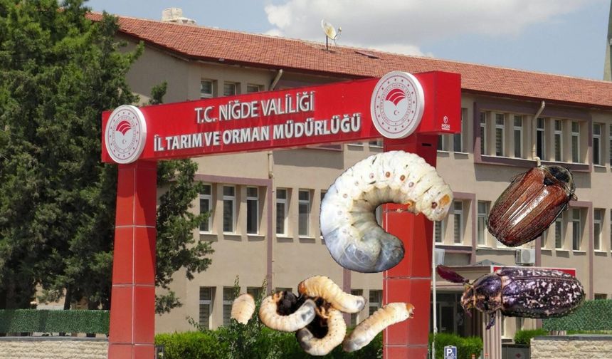 Niğde’de bu böcekler bahçeleri kurutuyor!