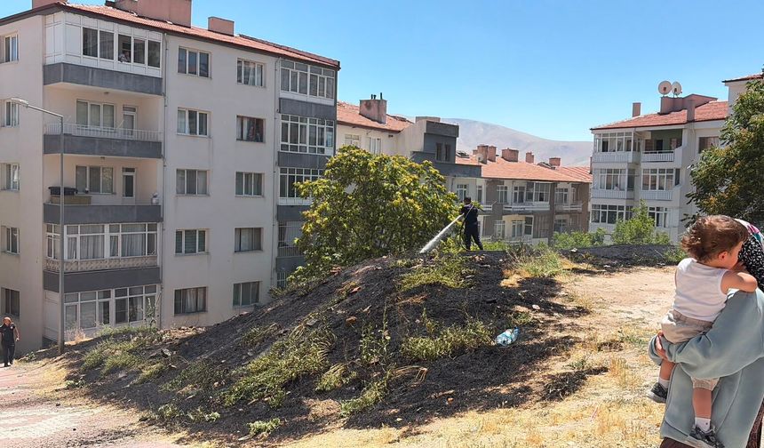 Niğde'de kuru ot yangını paniği