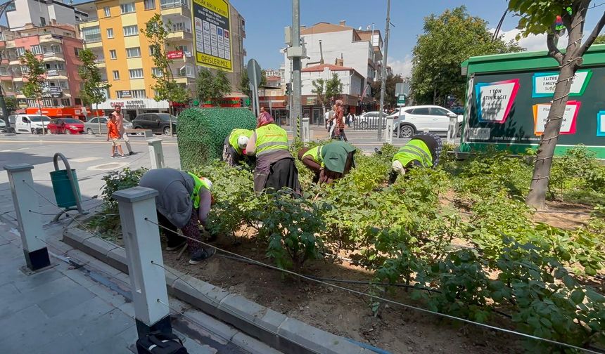 Niğde’de park ve yeşil alanlarda bakım çalışması