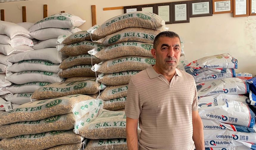 Niğde’de bu yıl yağışlar saman verimini artırdı