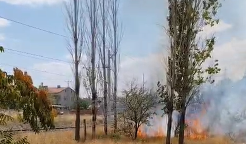 Bor'da kuru otlar alev aldı