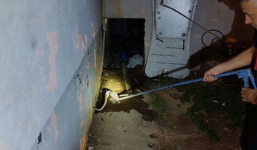 Evin deposuna giren yılan ekipleri harekete geçirdi