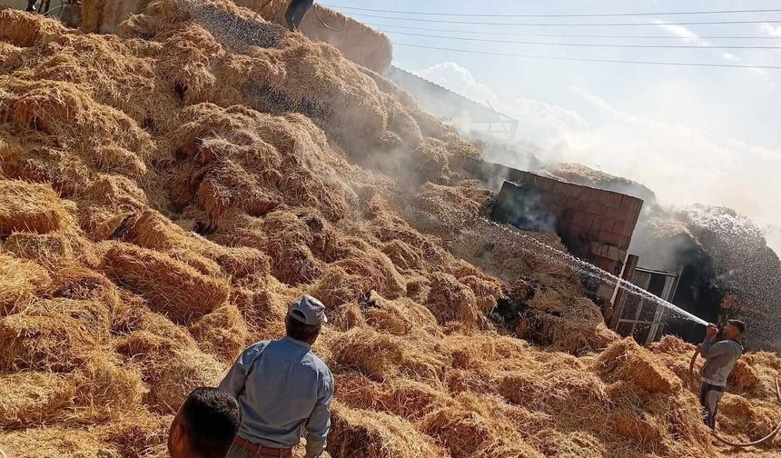 Çavdarlı köyünde saman balyaları yandı