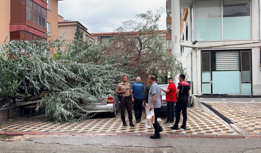 Niğde’de aracın üzerine ağaç devrildi