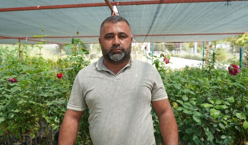 Bitkileri yaşatmak isterken öldürmeyin!