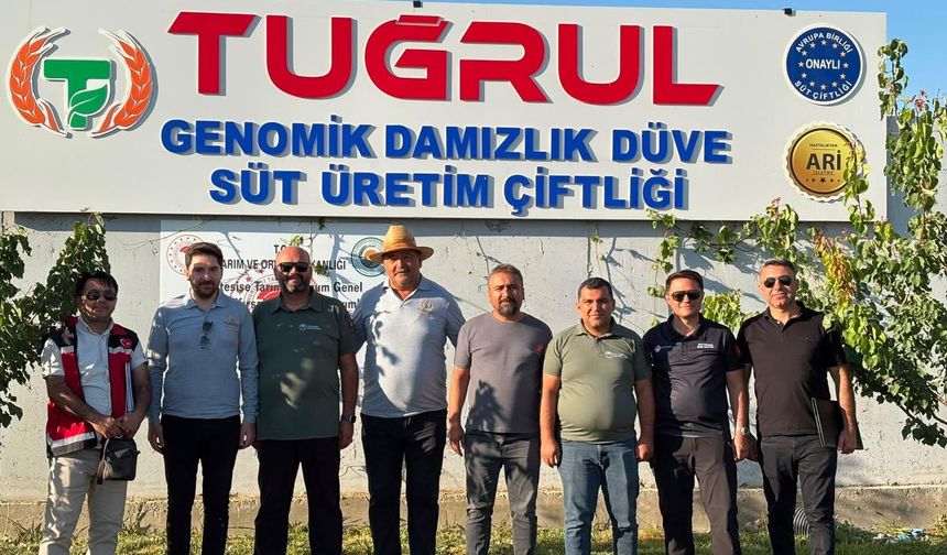 Niğde’den Türk hayvancılığına örnek model!