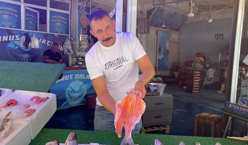 Niğde'de balıklar tezgahlardaki yerini almaya başladı