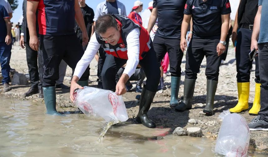 Bahçeli Göleti’ne yavru sazan bırakıldı