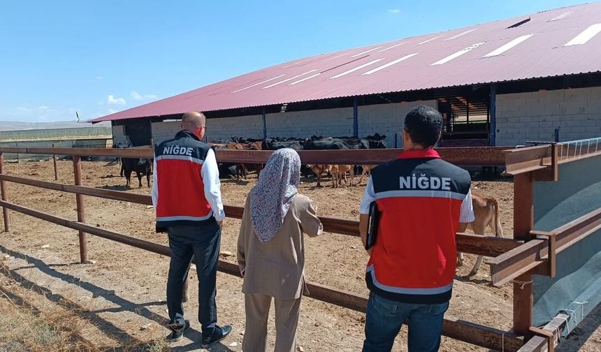 Bor'da ithal hayvanlara yönelik sağlık kontrolleri tamamlandı