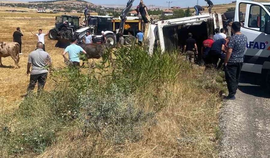Boztepe'de hayvan yüklü tır yan yattı