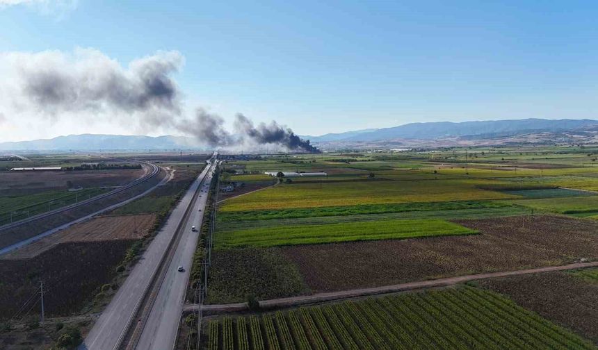 Siyah incirlerin saklandığı soğuk hava deposunda yangın
