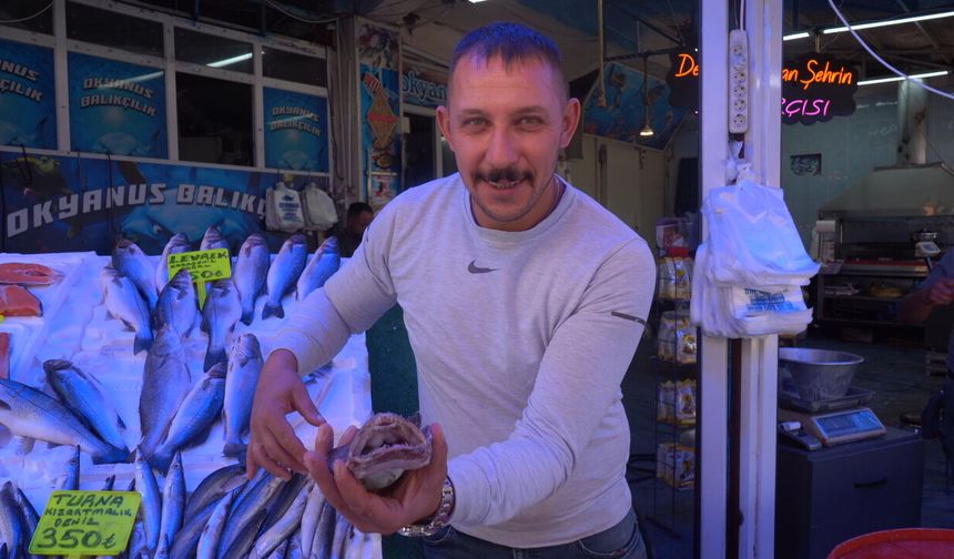 Vatandaşların balık özlemi tezgahlara yansıdı