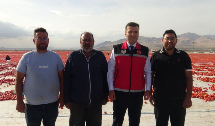 Bu tarlaya okumayan giremiyor!