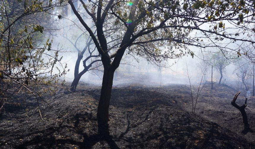 Kayardı Bağları'nda korkutan yangın