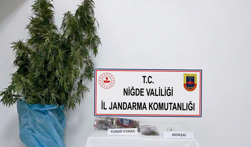 Kemerhisar'da uy*şturucu operasyonu