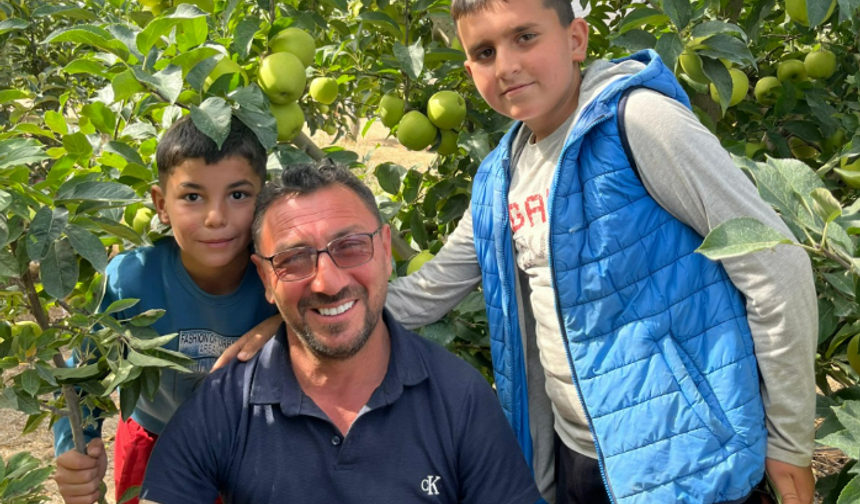 Niğde'de elma üreticisi rekolteden memnun, fiyattan dertli