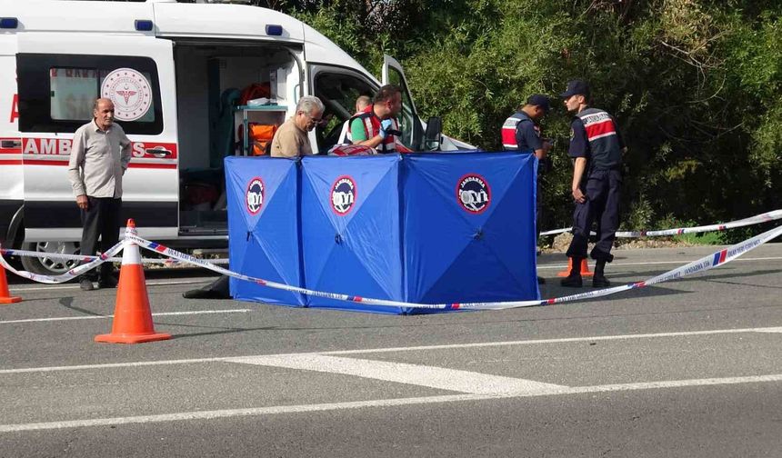 Tuvalet ihtiyacı için yolun karşısına geçerken can verdi: Kaza anı kamerada