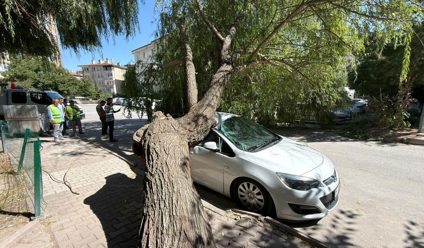 Niğde’de yaşandı, kökünden koptu, otomobilin üzerine dev­rildi!