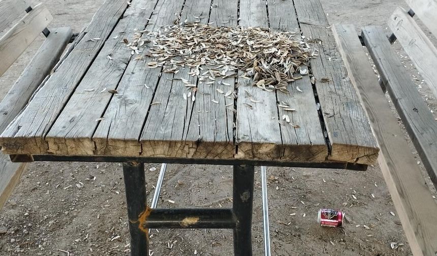 Niğde’de çocukların parkı çöplüğe döndü!