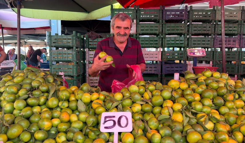 Niğde’de tezgahlar erkenci mandalinalarla renklendi