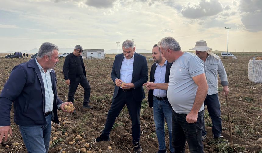 AK Parti Niğde Milletvekili Uzkurt, Karaatlı’da patates hasadına katıldı