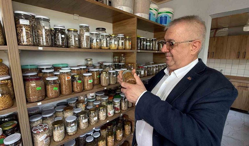 Ata tohumları gelecek nesillere taşınıyor