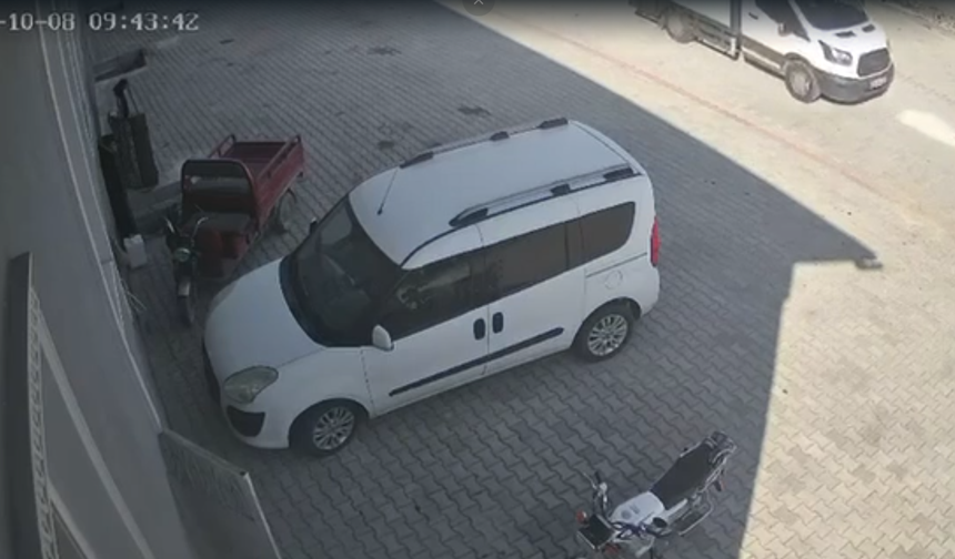 Edikli’de kamyonet köpeğin üzerinden geçti