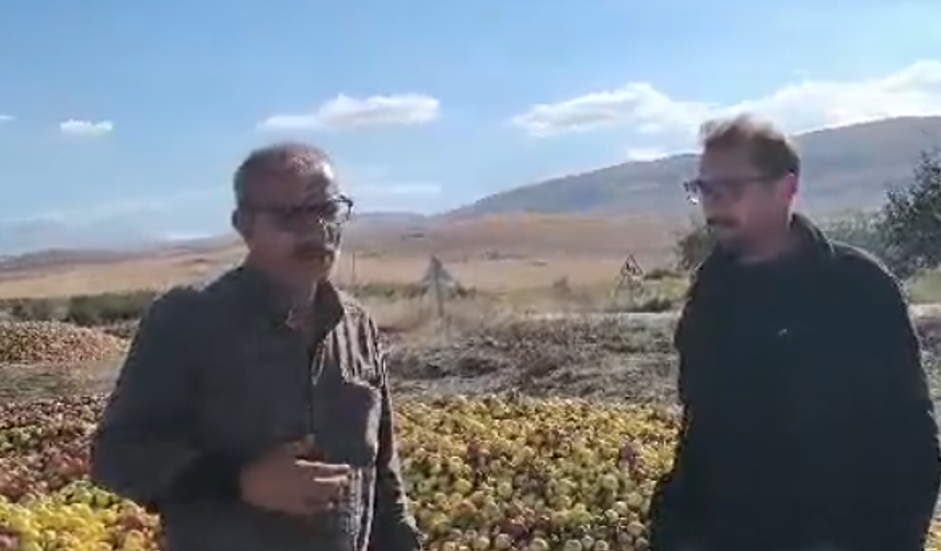 Meyve suyu elması 3 liraya düştü, üretici ürününü toplatamıyor