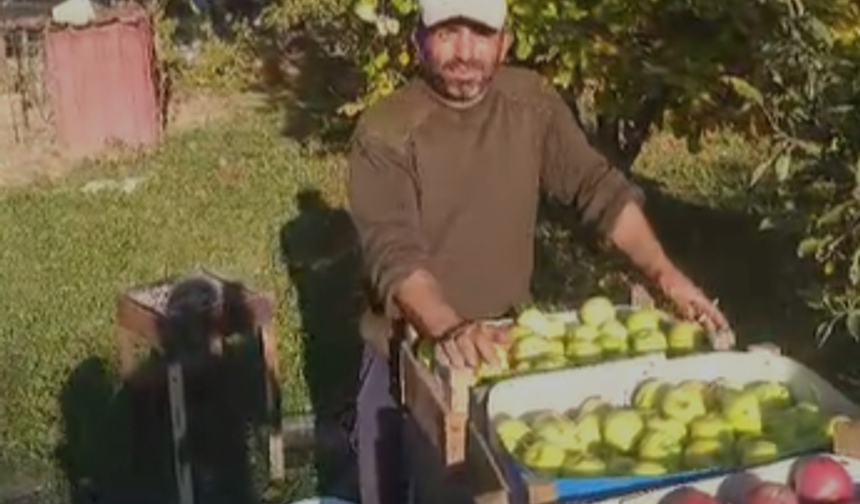 Niğde’de elma üreticisi dertli