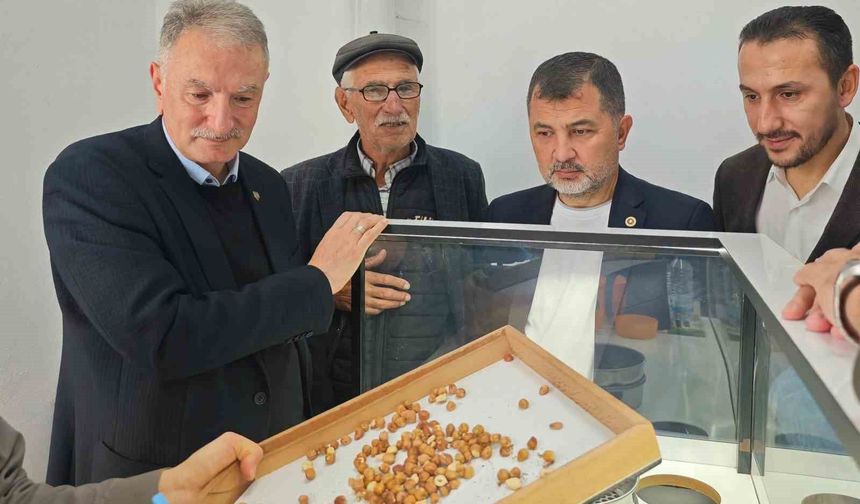 Fındık alım çalışmaları yerinde incelendi