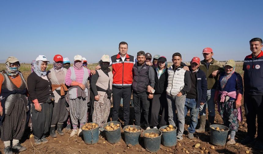 Vali Akmeşe patates hasadına katıldı: Niğde’de 1 milyon 178 bin ton üretim bekleniyor