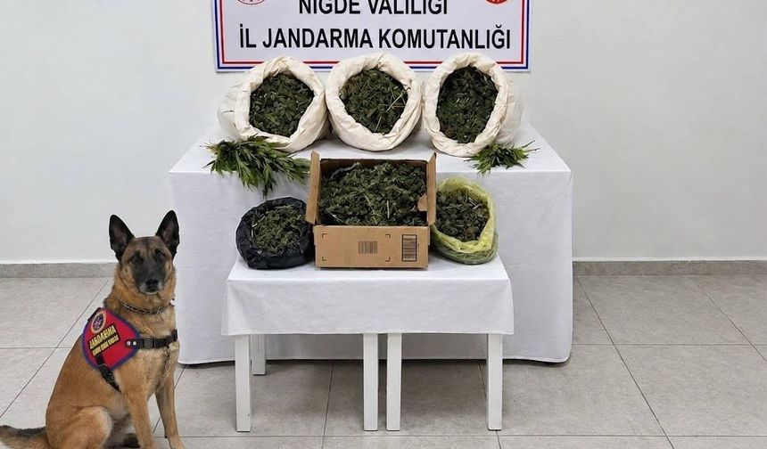 Fesleğen köyünde uy*şturucu operasyonu: 10 kilo esrar ele geçirildi