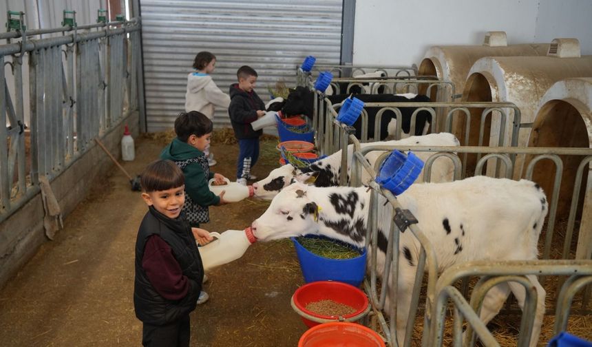 Niğde'de minik öğrenciler hayvansal üretimi yerinde öğrendi