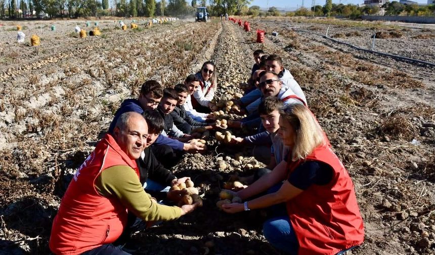 Niğde’de gençler gönüllü hasatta buluştu