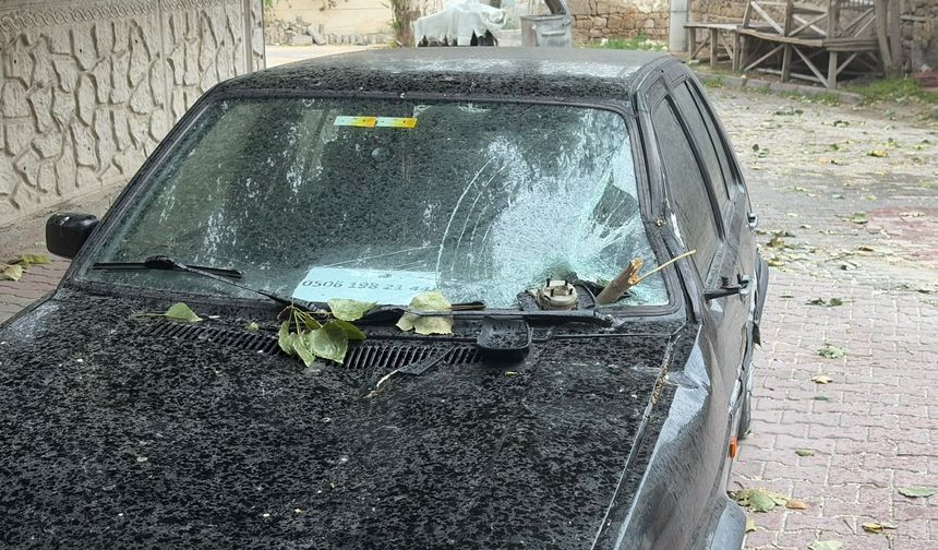 Niğde’de rüzgâr ağacı dalından kopardı, araç hasar gördü!