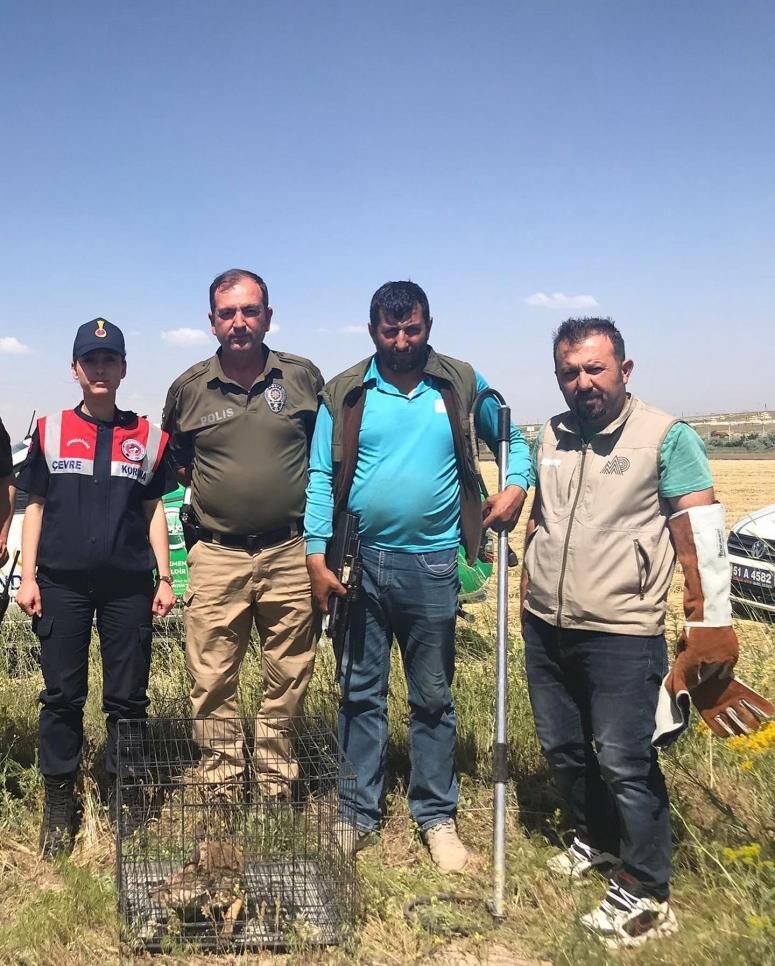 Ekipler tilki için seferber oldu
