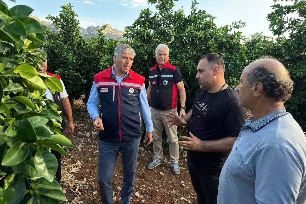 Dolu vuran tarım arazilerinde incelemeler başladı