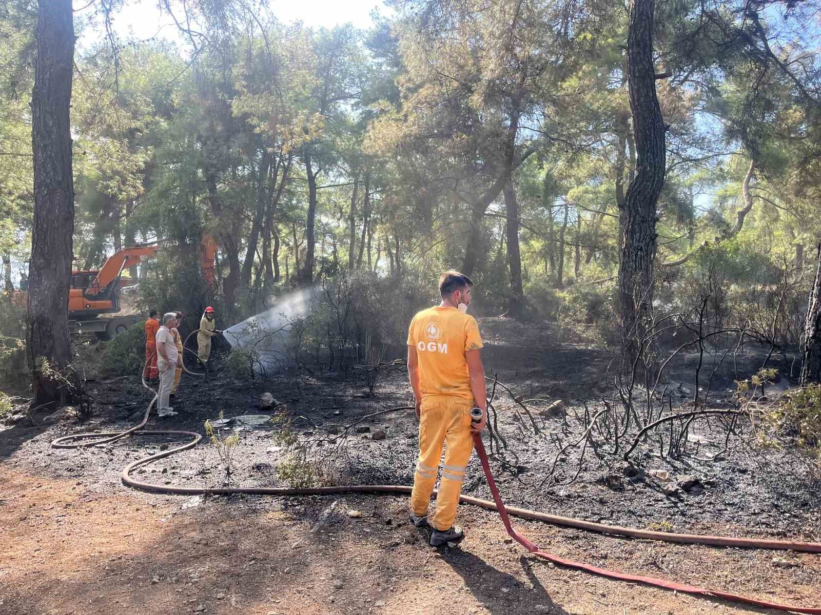 Çıkan orman yangın kontrol altına alındı