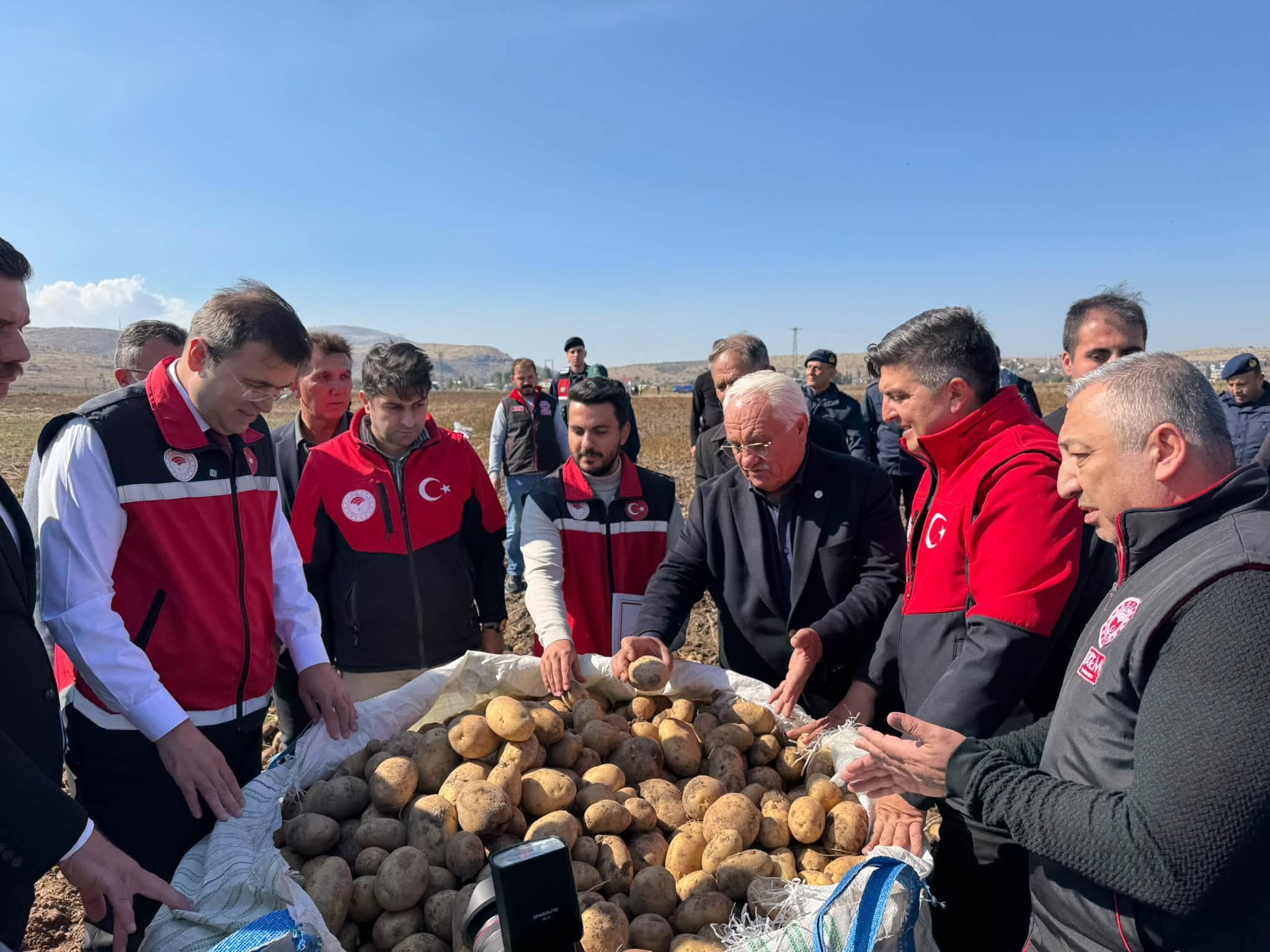 Niğde’de 3 yerli patates çeşidinin hasadı yapıldı